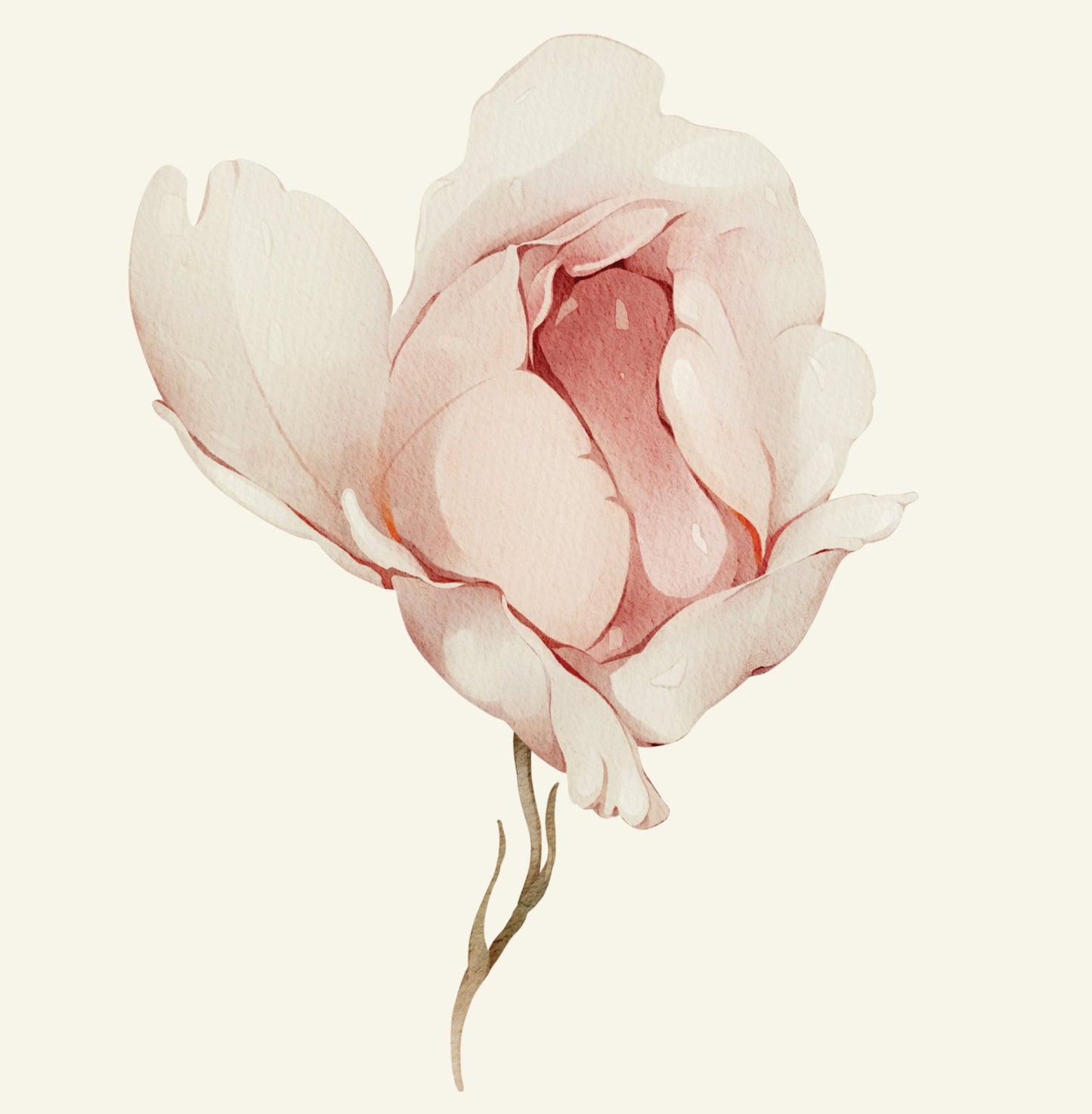 Arch beige floral flower — Arch Wall Decal (Arch Wall Decal) — removable wall decal by Tiny Tale Prints