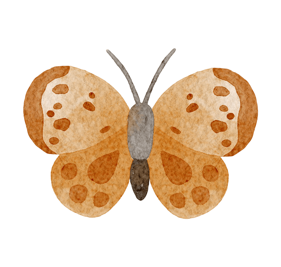 Big Animal Butterfly Flower – Wall Decal (Home Decor Decals) — removable wall decal by Tiny Tale Prints