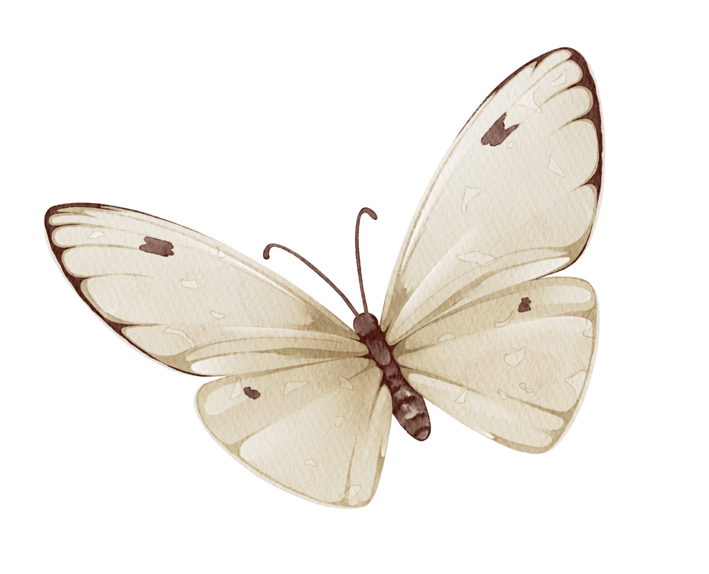 Big Pink Floral Butterfly – Wall Decal (Home Decor Decals) — removable wall decal by Tiny Tale Prints