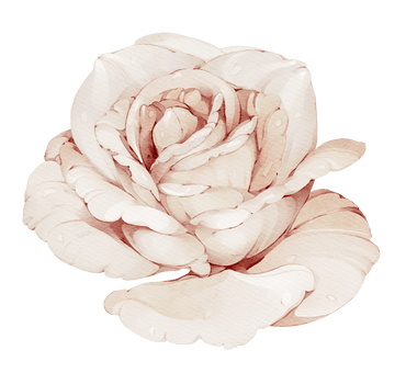 Pastel Pink Rose Meadow — Wall Decal (Home Decor Decals) — removable wall decal by Tiny Tale Prints
