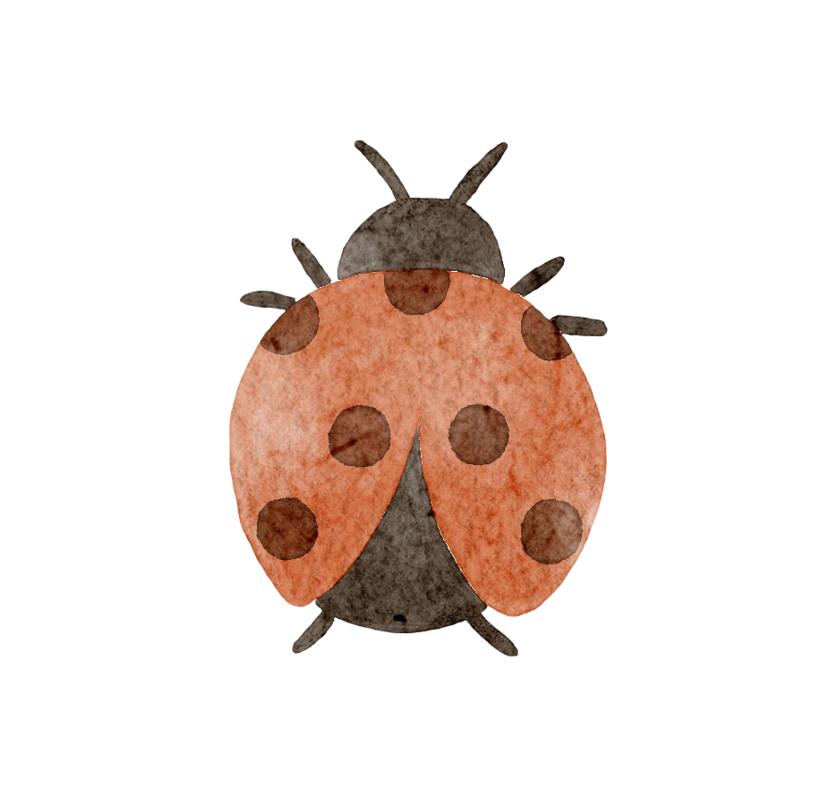 Lady bird – Wall Decal (Home Decor Decals) — removable wall decal by Tiny Tale Prints