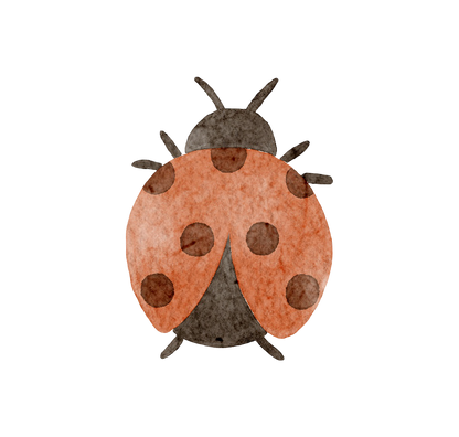 Lady bird – Wall Decal (Home Decor Decals) — removable wall decal by Tiny Tale Prints