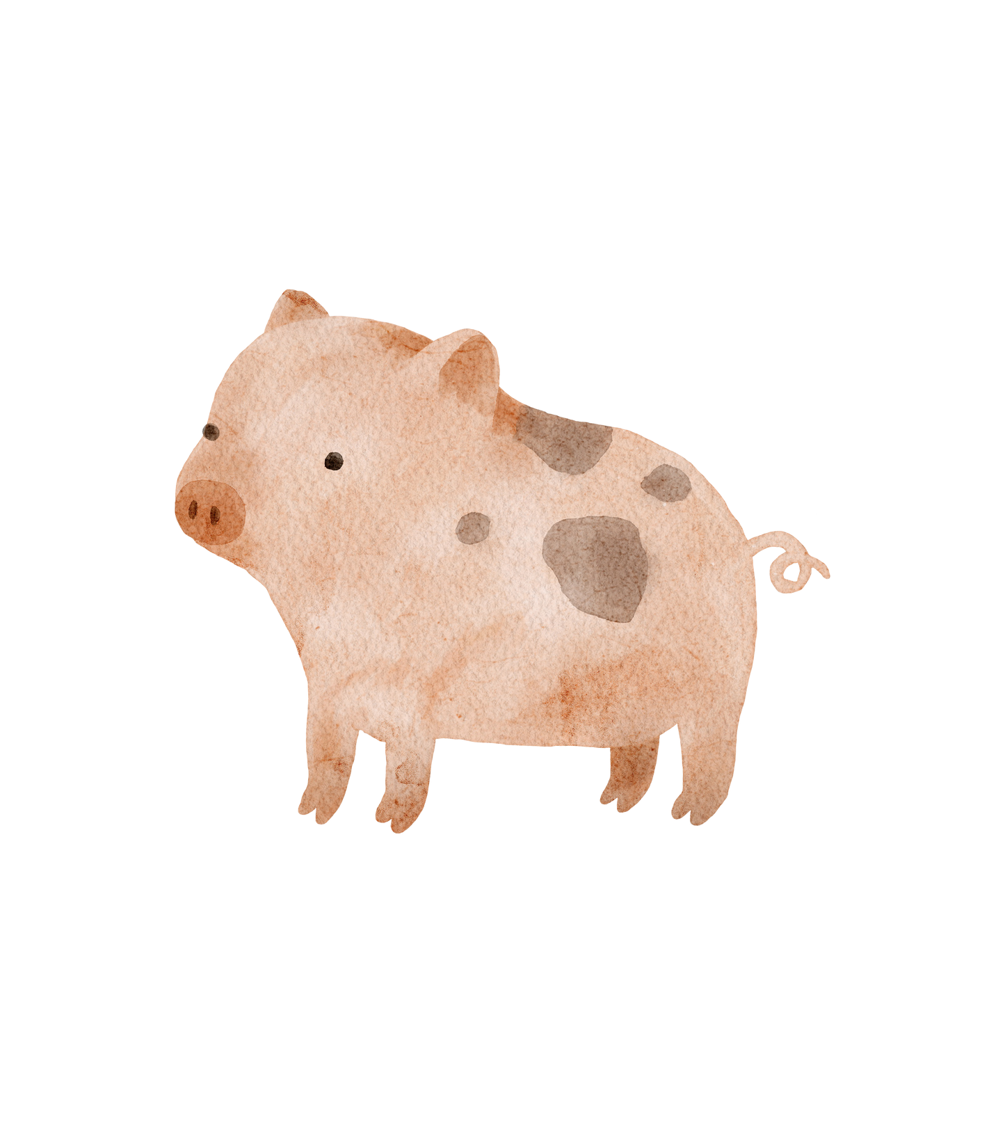 pig – Wall Decal (Home Decor Decals) — removable wall decal by Tiny Tale Prints