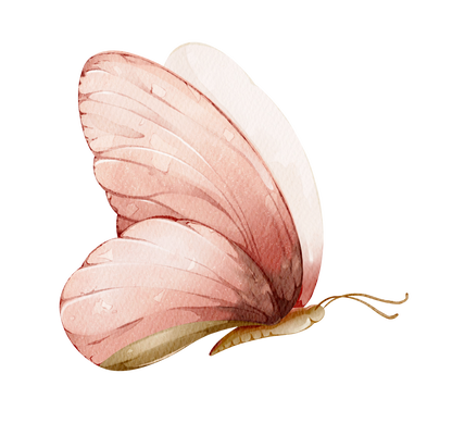 Blush Garden Peony Bloom — Wall Decal