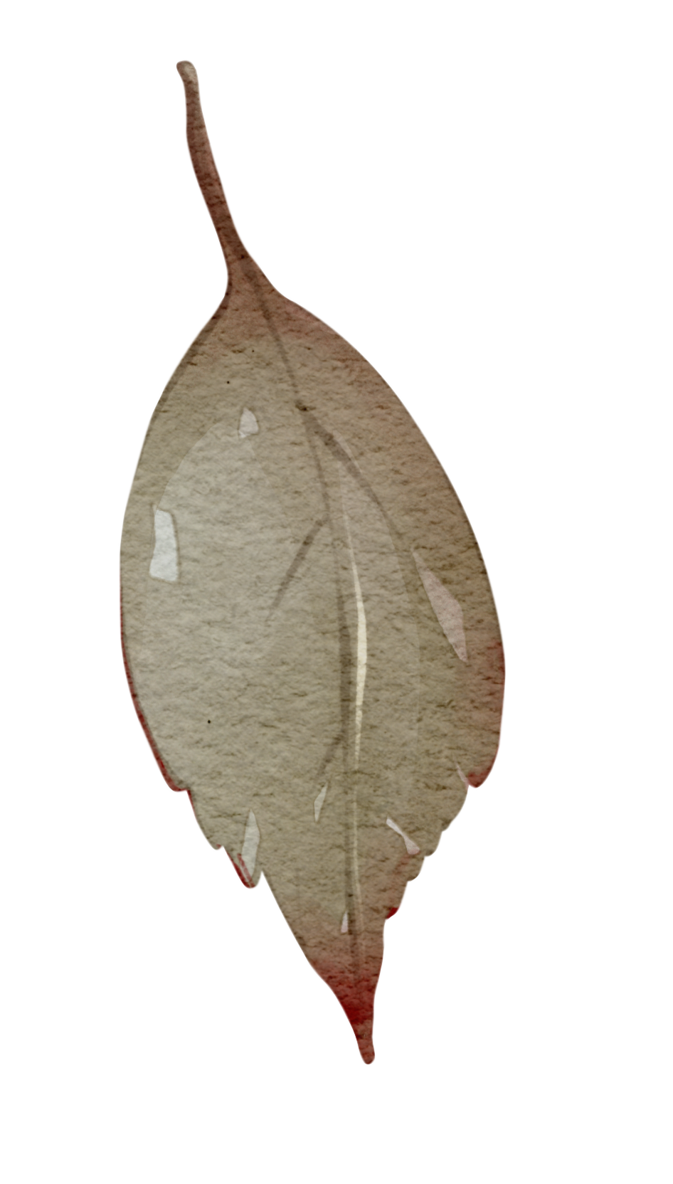 Blush Garden Peony Bloom — Wall Decal