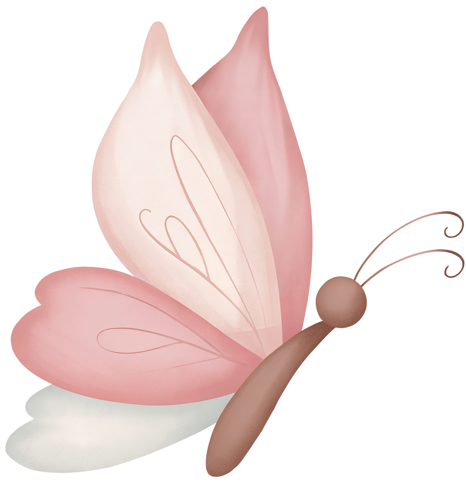 Big Fairy Butterfly Snail – Wall Decal (Home Decor Decals) — removable wall decal by Tiny Tale Prints