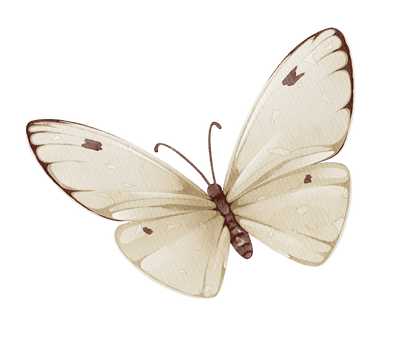 Big Pink Floral Butterfly – Wall Decal (Home Decor Decals) — removable wall decal by Tiny Tale Prints