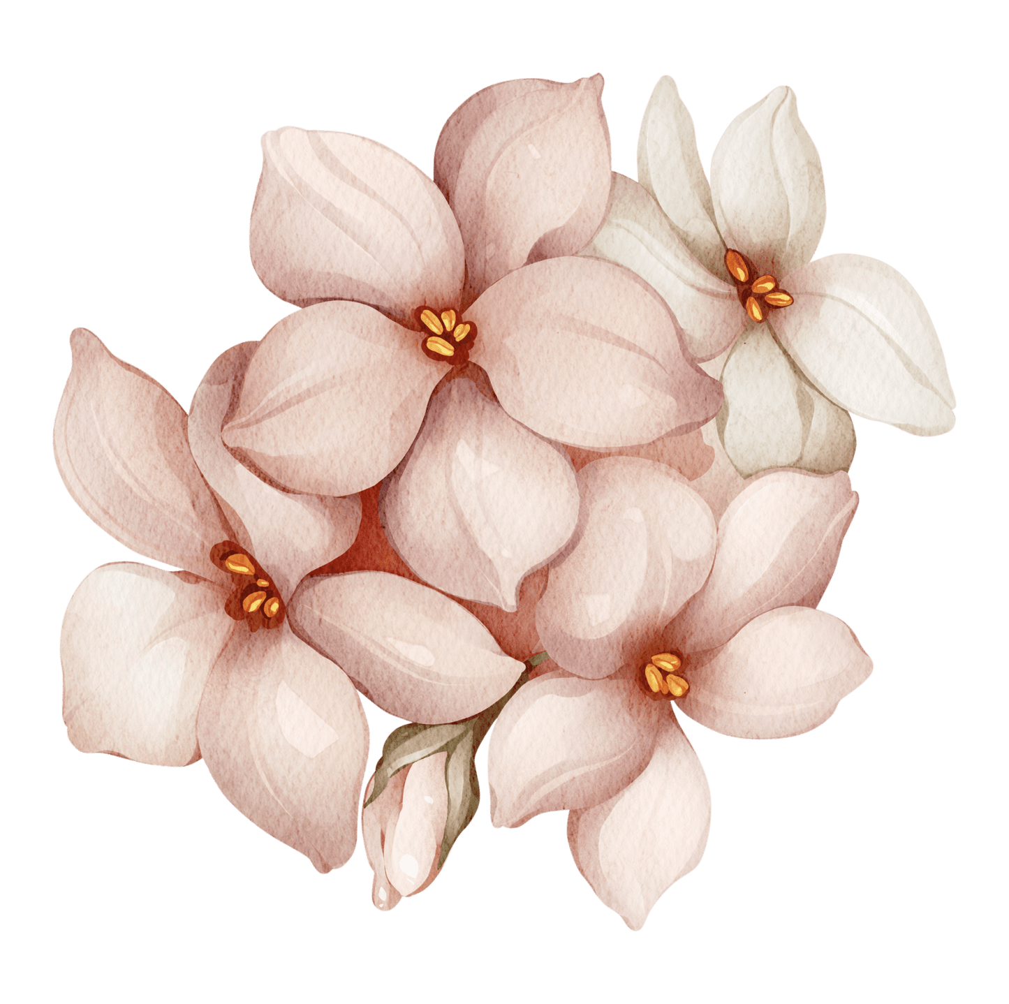 Big Pink Floral Butterfly – Wall Decal (Home Decor Decals) — removable wall decal by Tiny Tale Prints