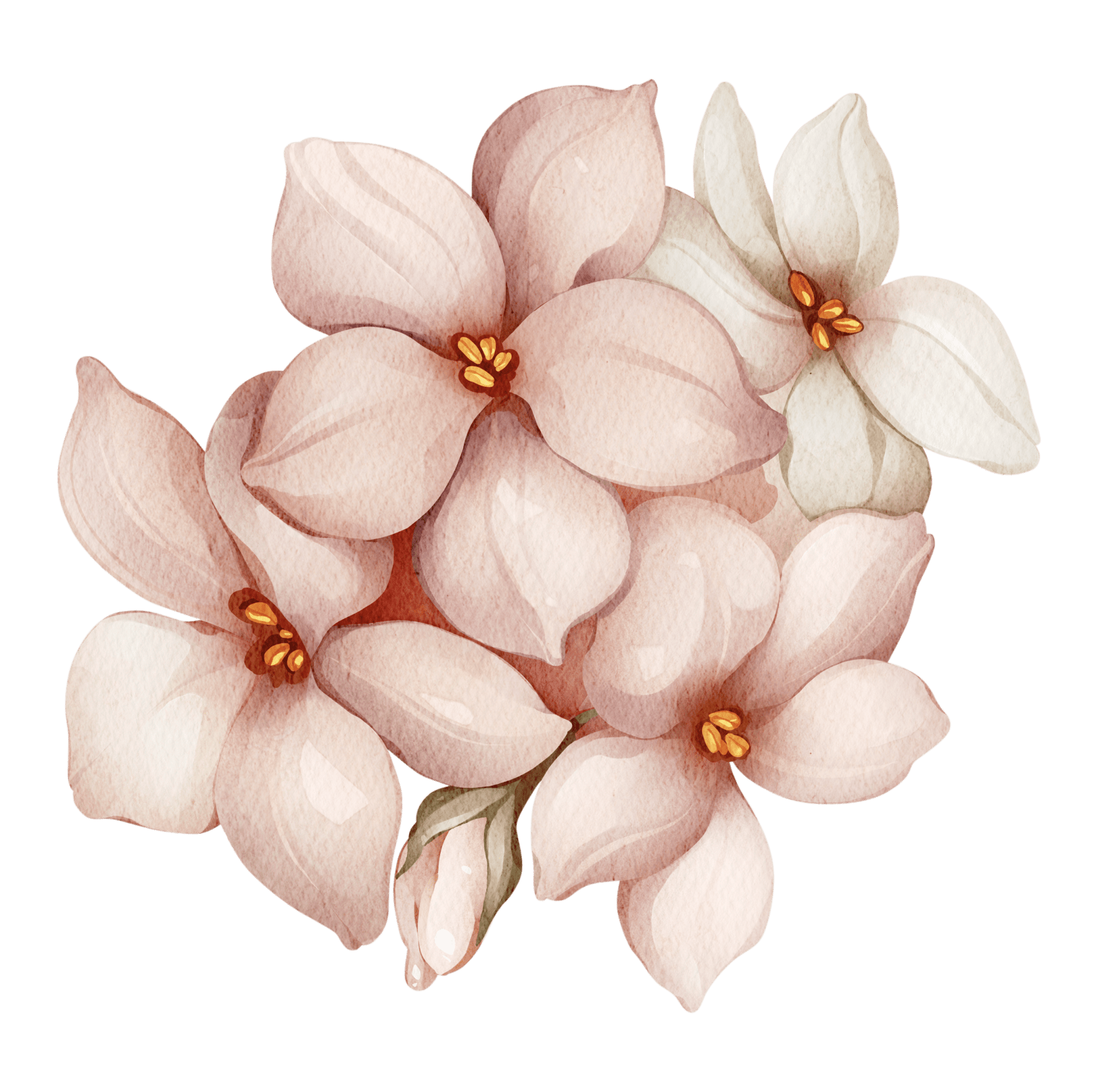 Big Pink Floral Butterfly – Wall Decal (Home Decor Decals) — removable wall decal by Tiny Tale Prints