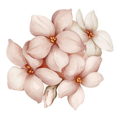 Big Pink Floral Butterfly – Wall Decal (Home Decor Decals) — removable wall decal by Tiny Tale Prints