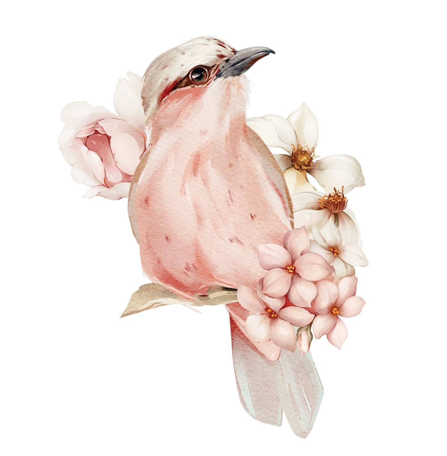 Bloom & Bird — Wall Decal — removable wall decal by Tiny Tale Prints