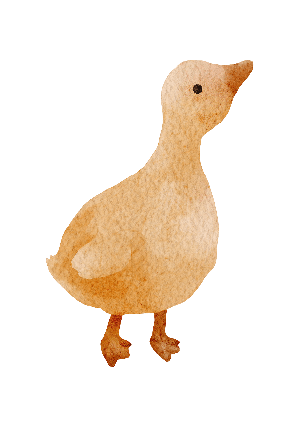 Ducky  – Wall Decal (Home Decor Decals) — removable wall decal by Tiny Tale Prints