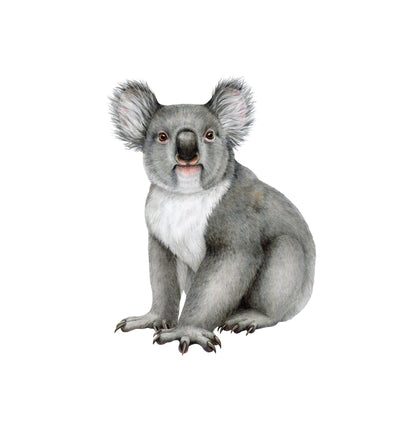 Outback Animal Friends — Wall Stickers (Home Decor Decals) — removable wall decal by Tiny Tale Prints