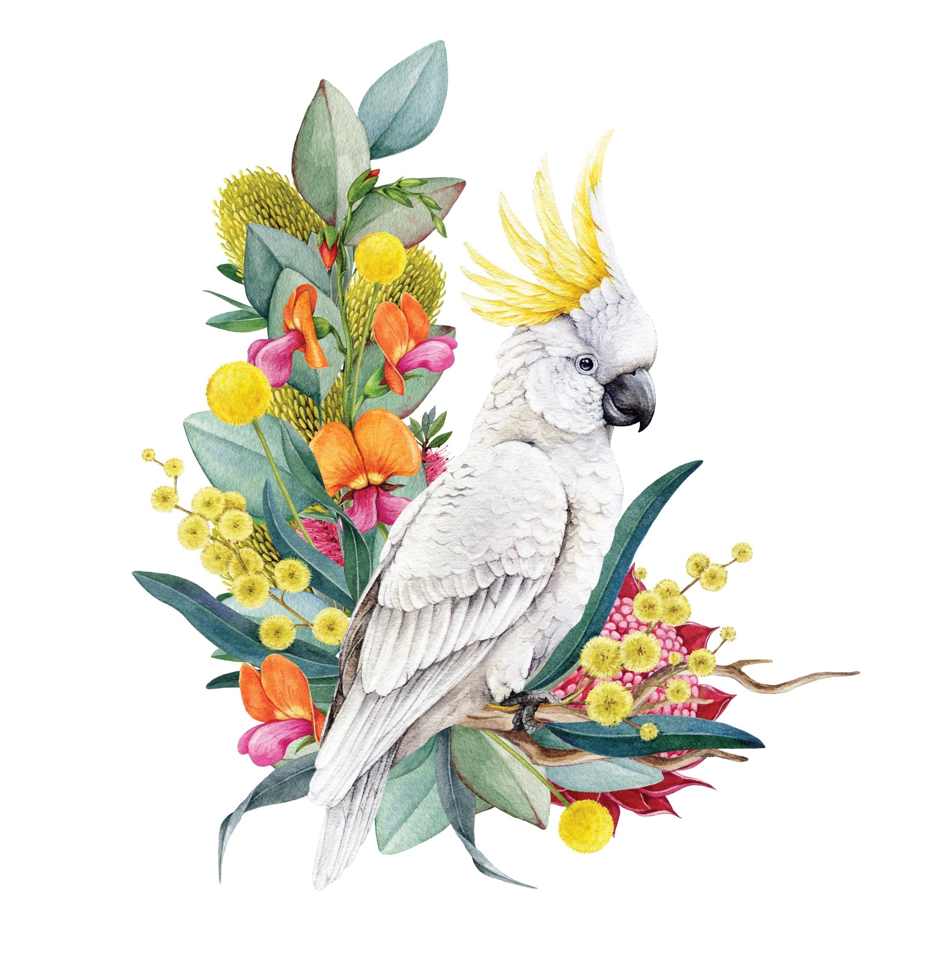Outback Cockatoo in Bloom — Wall Decal () — removable wall decal by Tiny Tale Prints