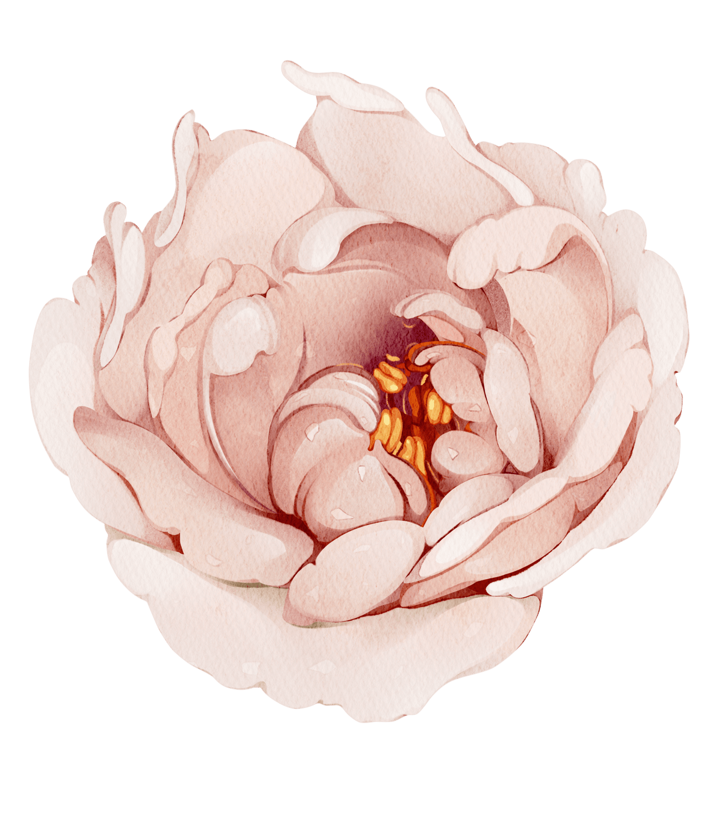 Pastel Pink Rose Meadow — Wall Decal (Home Decor Decals) — removable wall decal by Tiny Tale Prints