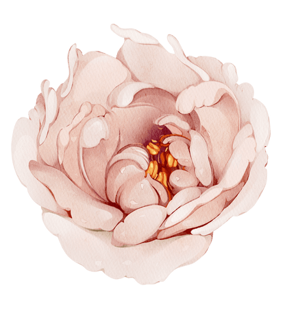 Pastel Pink Rose Meadow — Wall Decal (Home Decor Decals) — removable wall decal by Tiny Tale Prints