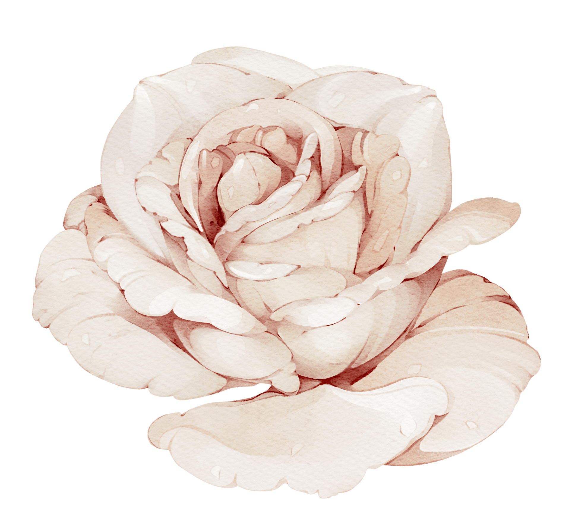 Pastel Pink Rose Meadow — Wall Decal (Home Decor Decals) — removable wall decal by Tiny Tale Prints
