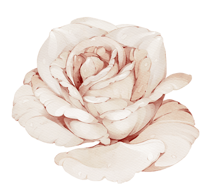 Pastel Pink Rose Meadow — Wall Decal (Home Decor Decals) — removable wall decal by Tiny Tale Prints