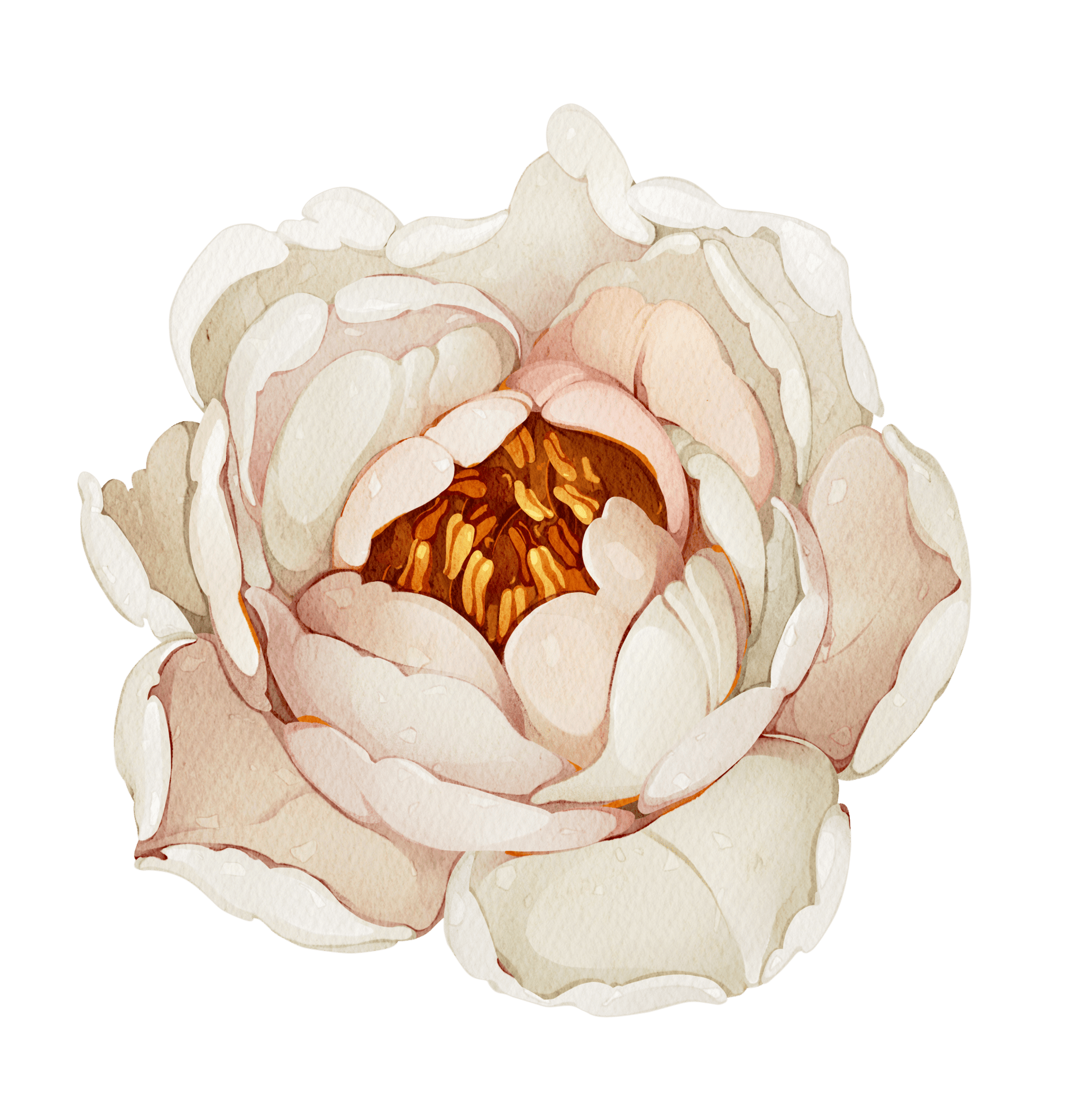 Small Flower Floral Rose – Wall Decal (Home Decor Decals) — removable wall decal by Tiny Tale Prints