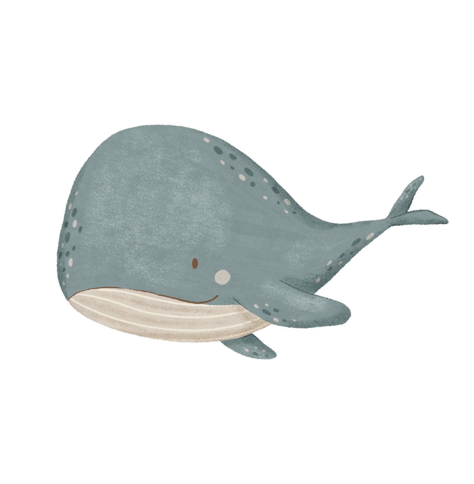 Small Whale Starfish (Home Decor Decals) — removable wall decal by Tiny Tale Prints