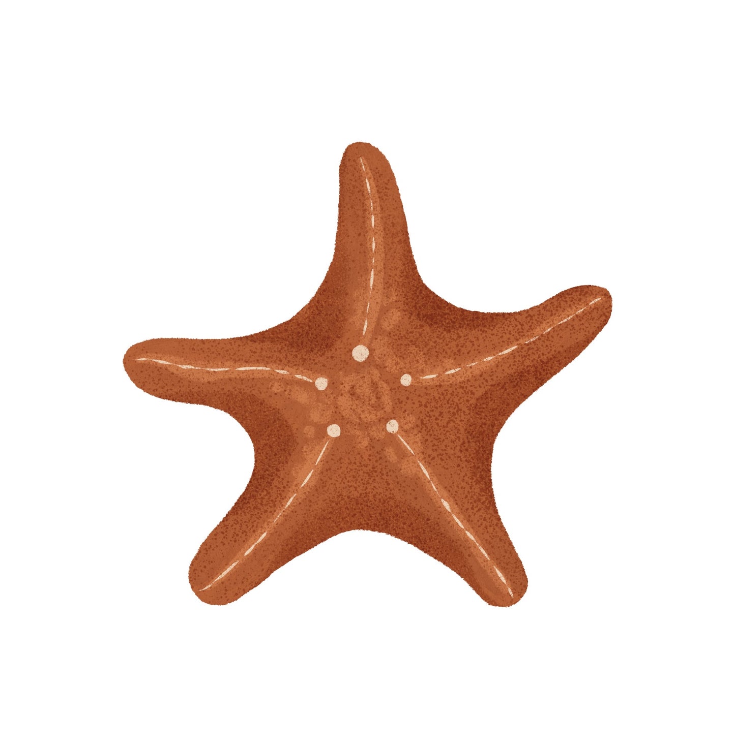 Small Whale Starfish (Home Decor Decals) — removable wall decal by Tiny Tale Prints