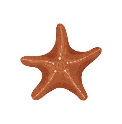 Small Whale Starfish (Home Decor Decals) — removable wall decal by Tiny Tale Prints